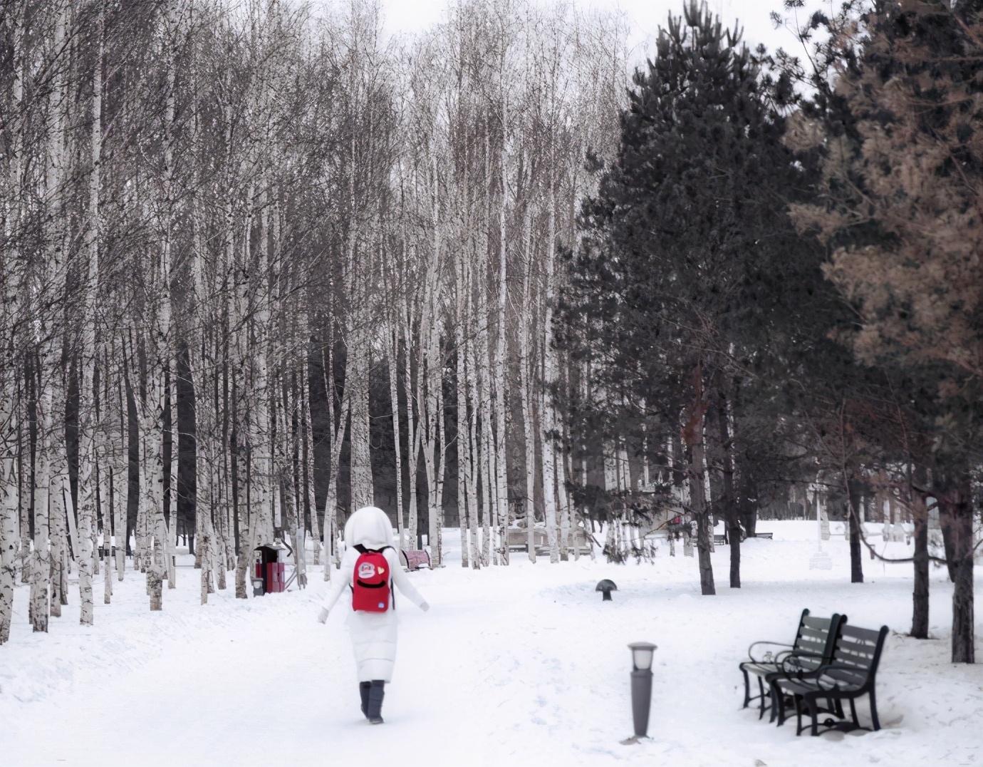 尔滨的雪实在是太美了,哈尔滨的雪景美得让人挪不动步