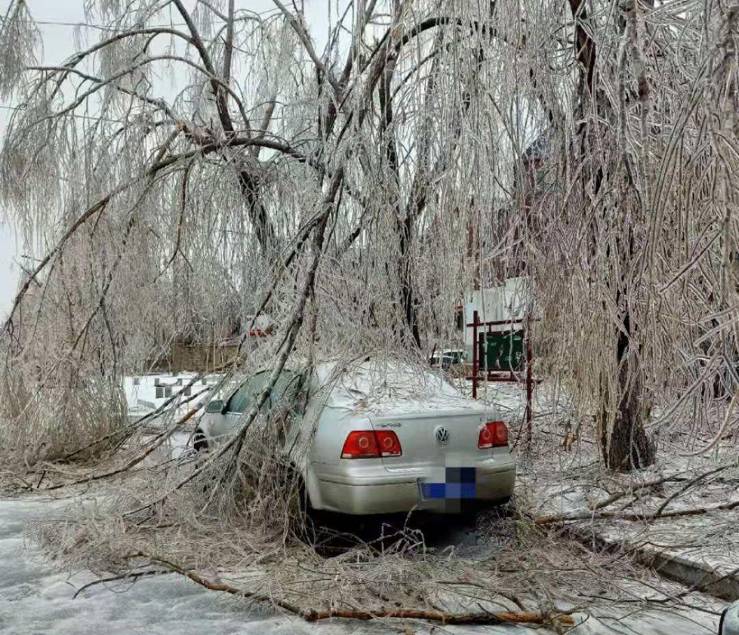 直击东北暴雪现场,探访东北雪灾核心现场