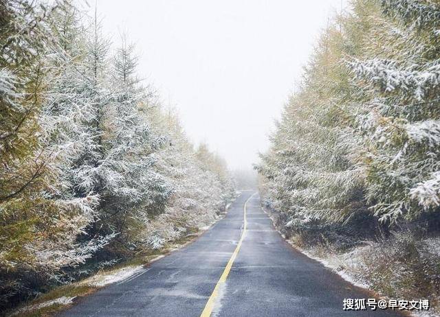 北京多地下雪地面都白了,北京各区迎来初雪，银装素裹大地一片白