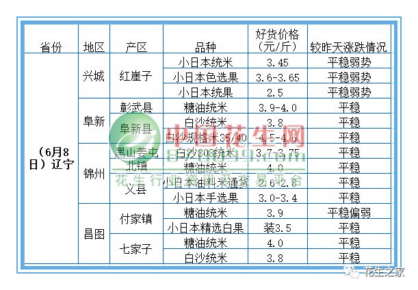 今日花生价格最新行情,今日花生市价速递