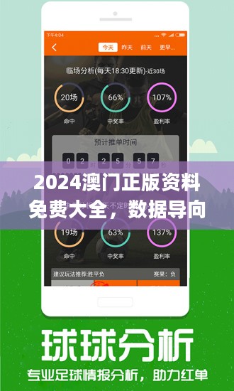 2024澳门免费资料,正版资料,实践研究解答解释路径_简洁集B70.592