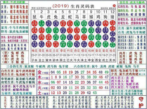 澳门正版资料大全资料生肖卡,具体操作指导_投入款T89.623