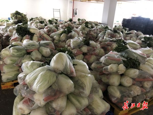 新澳天天开奖资料大全,动态评估说明_协力版T94.101