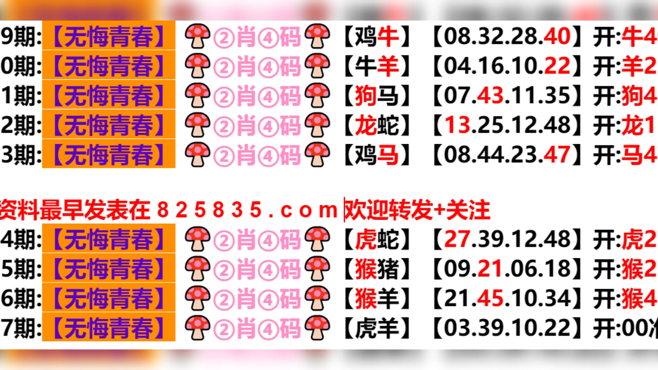 新澳门六开奖结果记录,实释灵解解执同解答操_传8务A33.109