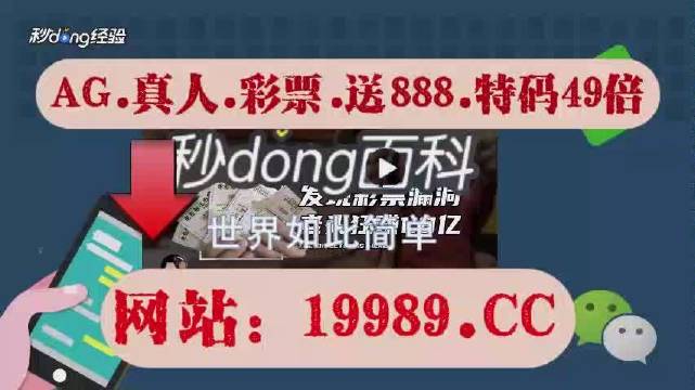 2024澳门天天开好彩大全53期,领活解答业释答效_随动户D93.153