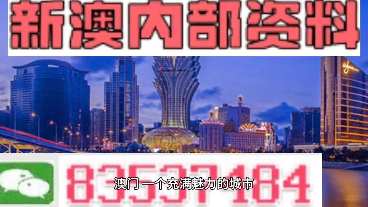 新澳新澳门正版资料,导计落前解释解_先集地E55.462