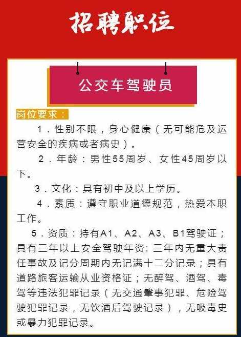 汇龙镇最新招驾驶员,汇龙镇招聘驾驶员，火热招募中！