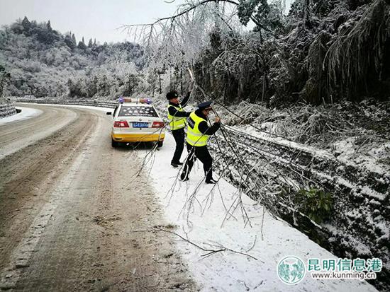 警示：曲陆高速公路最新消息揭示隐藏的安全隐患与未来发展方向探索