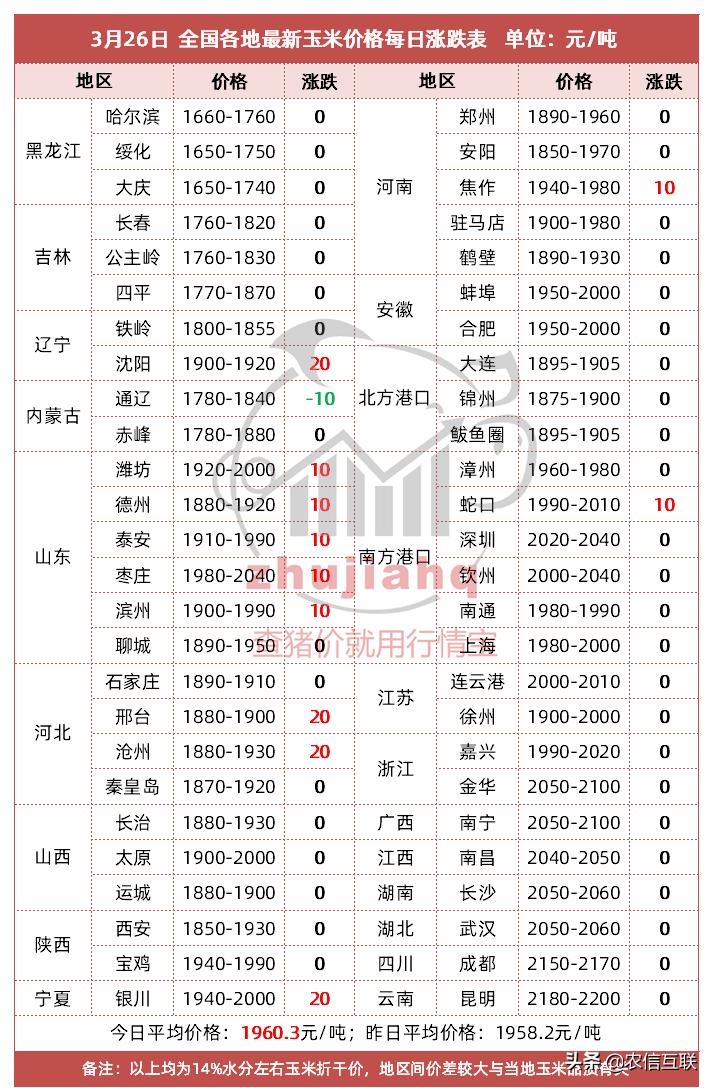 辽宁猪市行情看涨，美好未来尽在眼前