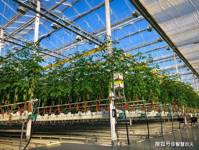 全新升级版冬季高效保温农业大棚，引领现代农业设施新潮流